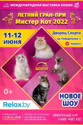 Международная выставка кошек