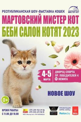 Мартовский Мистер Кот. Беби салон котят 2023